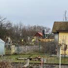 zdjęcie nr 11