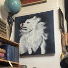 zdjęcie nr 16
