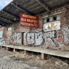 Fotka nr 4 z 28