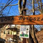 zdjęcie nr 22