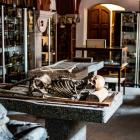   Muzeum Medycyny Sądowej, ul. Mikulicza-Radeckiego 4  

 O tym muzeum r&oacute;wnież...