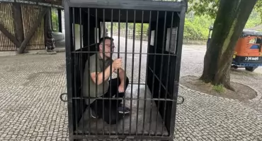 Na kaca niedźwiedź z rurką w wątrobie. W zoo we Wrocławiu możesz wejść do malutkiej klatki 