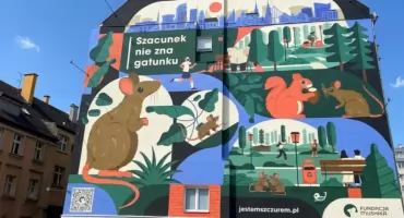 Mural w obronie wrocławskich szczurów. Czy na Nadodrzu już je szanują? Sprawdzamy!