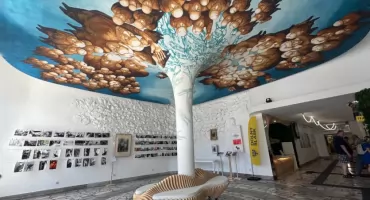 Ale widok! Plafon w bibliotece w Rynku robi ogromne wrażenie 