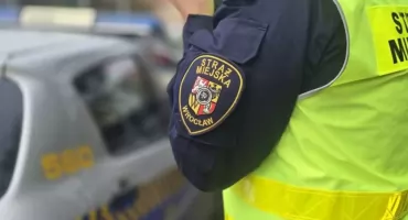Wrocławianie płacą miliony za mandaty. Na którym osiedlu najłatwiej o karę? 