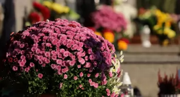 Zmarli we Wrocławiu - pogrzeby zaplanowane na 11.07.2026 – nekrologi