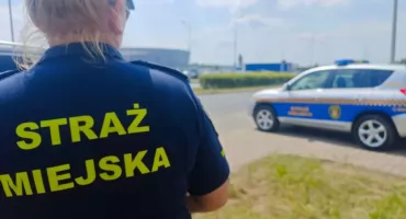 „Mucha wpadła mi do oka”, „chciałem się oświadczyć”. Tak tłumaczą się wrocławscy kierowcy