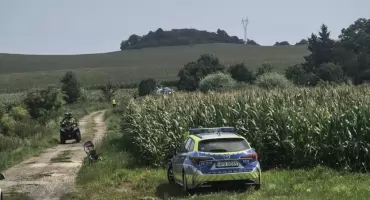 Dwulatek wbiegł w pole kukurydzy i… zniknął. Dramatyczna akcja służb ratunkowych